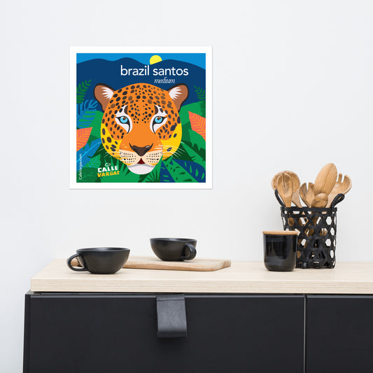 Calle Vargas Brazil Santos Jaguar Poster