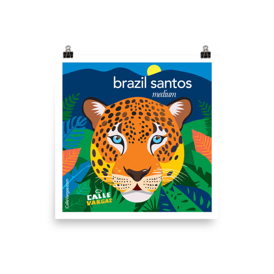 Calle Vargas Brazil Santos Jaguar Poster