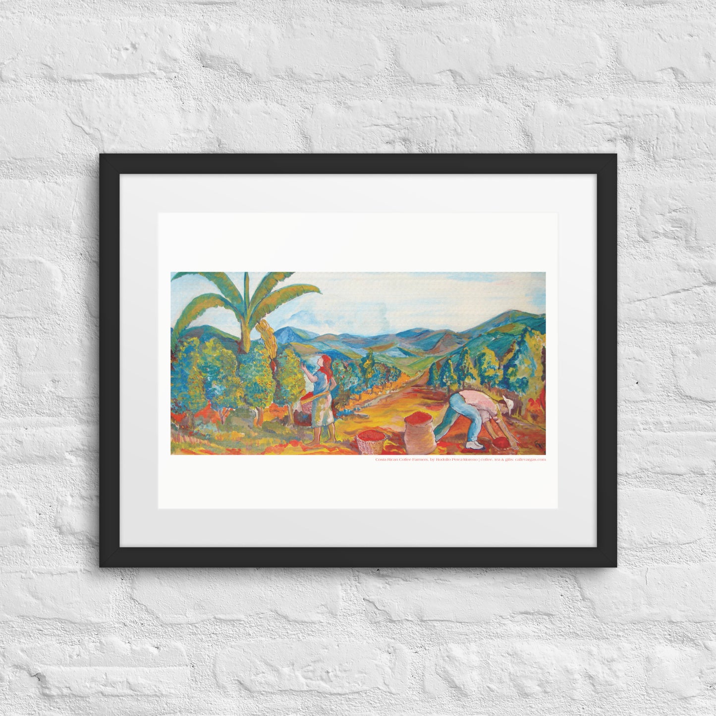 Costa Rican Coffee Farmers Framed Print by Rodolfo Perez-Moreno