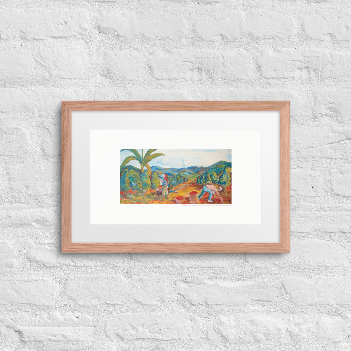 Costa Rican Coffee Farmers Framed Print by Rodolfo Perez-Moreno