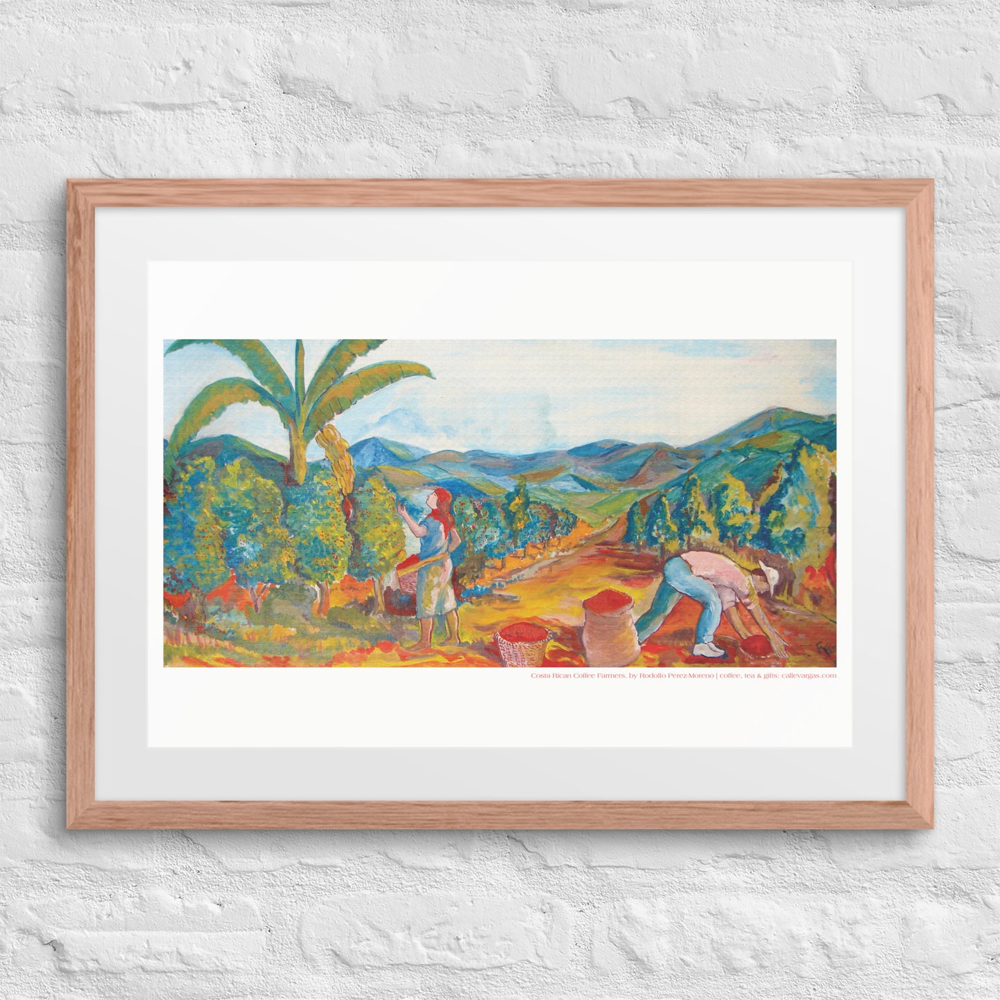 Costa Rican Coffee Farmers Framed Print by Rodolfo Perez-Moreno