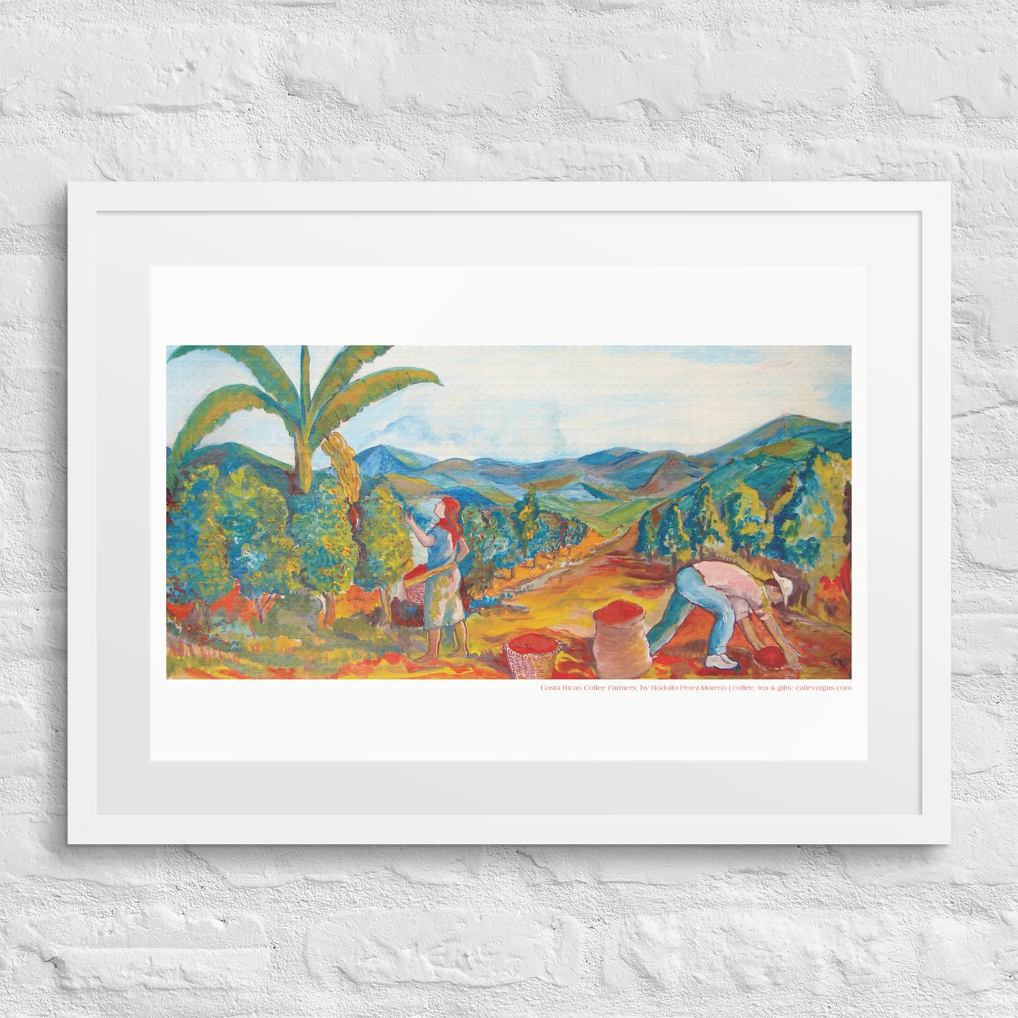 Costa Rican Coffee Farmers Framed Print by Rodolfo Perez-Moreno