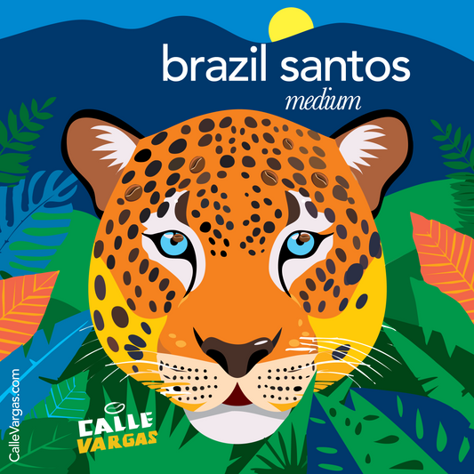 Brazil Santos